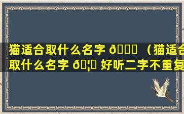 猫适合取什么名字 🍁 （猫适合取什么名字 🦍 好听二字不重复的）